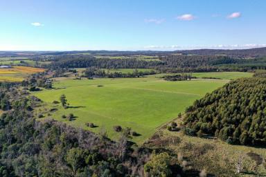 Farm For Sale - TAS - Pipers River - 7252 - "Laroona" Pipers River Vineyard site - Adjoining world renowned vineyard "Bay Of Fires"  (Image 2)