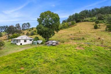 Farm Sold - NSW - Killabakh - 2429 - TO BE SOLD - OPEN HOME CANCELLED  (Image 2)