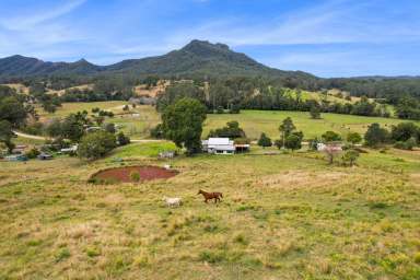 Farm Sold - NSW - Killabakh - 2429 - TO BE SOLD - OPEN HOME CANCELLED  (Image 2)