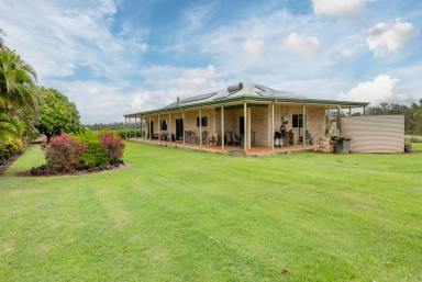 Farm For Sale - QLD - North Isis - 4660 - LARGE BRICK HOME WITH RED SOIL AND WATER ALLOCATION  (Image 2)