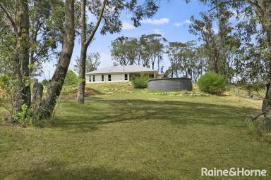 Farm For Sale - NSW - Wingello - 2579 - Beautiful Country Property Brimming with Opportunity.  (Image 2)