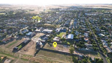 Farm For Sale - VIC - Swan Hill - 3585 - BIG Opportunity  (Image 2)