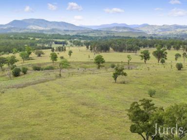 Farm Sold - NSW - Sedgefield - 2330 - HOBBY FARMTASTIC  (Image 2)