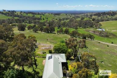 Farm Sold - VIC - Harcourt North - 3453 - LOCATION, PRIVACY AND WONDERFUL HILLTOP VIEWS OVER ROLLING HILLS  (Image 2)