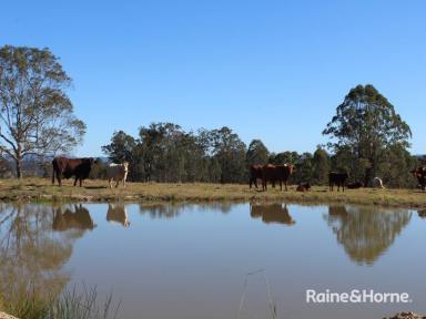 Farm Sold - NSW - Tunglebung - 2469 - Endless Rural Opportunity  (Image 2)