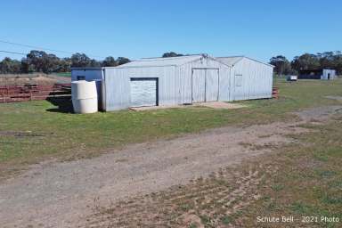 Farm For Sale - NSW - Peak Hill - 2869 - Ready to go!  (Image 2)