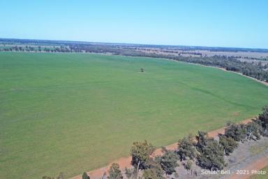 Farm For Sale - NSW - Peak Hill - 2869 - Ready to go!  (Image 2)