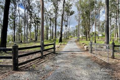 Farm Sold - QLD - Glenwood - 4570 - SIMPLE EASY LIVING!  (Image 2)