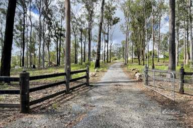 Farm Sold - QLD - Glenwood - 4570 - SIMPLE EASY LIVING!  (Image 2)