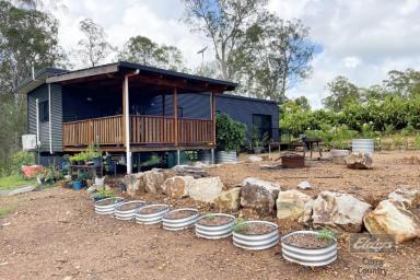 Farm Sold - QLD - Glenwood - 4570 - SIMPLE EASY LIVING!  (Image 2)