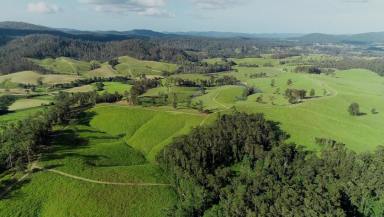Farm Sold - NSW - Bellangry - 2446 - High Rainfall Grazing  (Image 2)