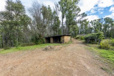 Farm Sold - NSW - Nymboida - 2460 - 97 Hectares of Lifestyle  (Image 2)