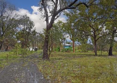 Farm Sold - QLD - Pacific Haven - 4659 - IDEAL LIFESTYLE RURAL PROPERTY  (Image 2)