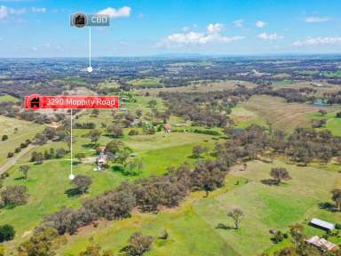 Farm For Sale - NSW - Young - 2594 - 10acs* Only Minutes To Town  (Image 2)