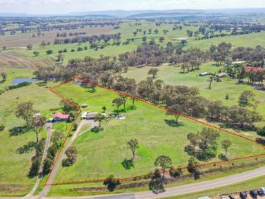 Farm For Sale - NSW - Young - 2594 - 10acs* Only Minutes To Town  (Image 2)