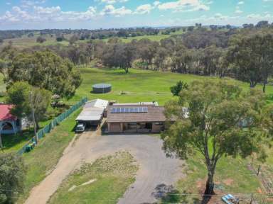 Farm For Sale - NSW - Young - 2594 - 10acs* Only Minutes To Town  (Image 2)