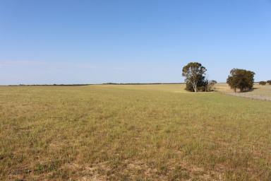 Farm For Sale - SA - Lameroo - 5302 - Well Positioned Southern Mallee Rural Lifestyle Property  (Image 2)