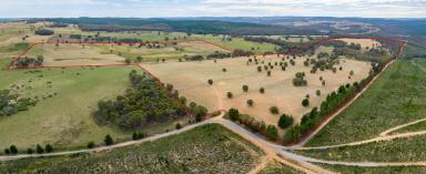 Farm For Sale - NSW - Burraga - 2795 - Cherry Tree  (Image 2)