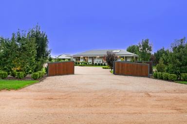 Farm Sold - VIC - Irymple - 3498 - A Perfect Blend of Rural Tranquility and Modern Comfort in a Stunning Family Home  (Image 2)