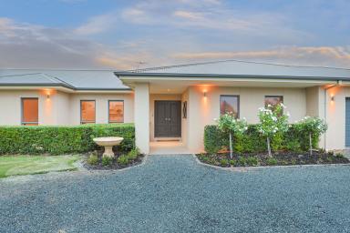 Farm For Sale - NSW - Gol Gol - 2738 - Exquisite home, tightly held location!  (Image 2)