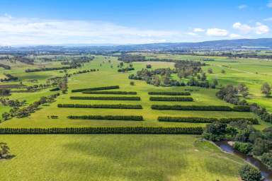 Farm Sold - VIC - Tanjil South - 3825 - 144 acres on the Latrobe River- Tanjil South -75Meg Water  (Image 2)