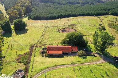 Farm For Sale - VIC - Carrajung Lower - 3844 - ELEVATED SERENITY, ENDLESS VIEWS AND ACREAGE AWAITS!  (Image 2)