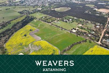 Farm Sold - WA - Katanning - 6317 - ESCAPE TO 3 ACRES - SOLD BY SUZIE PERRIN  (Image 2)