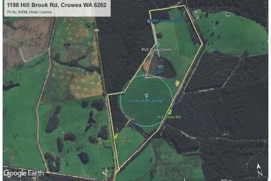 Farm For Sale - WA - Crowea - 6262 - Fertile Soils with 500,000KL Water Allocation  (Image 2)