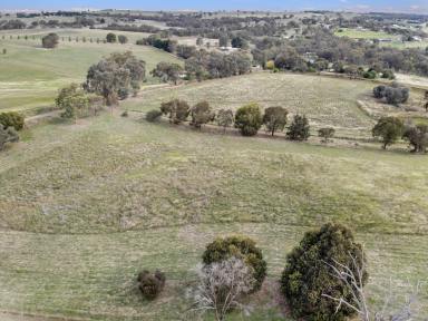 Farm For Sale - NSW - Young - 2594 - PRETTY POSITION  (Image 2)