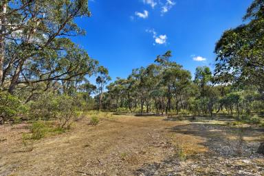 Farm Sold - VIC - Beaufort - 3373 - 10.71HA (26.46 Acres) A Great Block With Loads of Options  (Image 2)