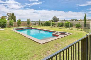 Farm Sold - VIC - Mildura - 3500 - 2 ACRE HOBBY FARM  (Image 2)