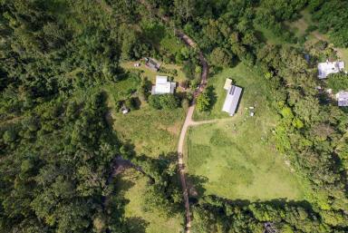 Farm Sold - NSW - Mooral Creek - 2429 - Are You Ready to Escape??  (Image 2)