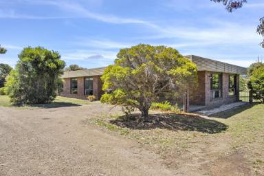 Farm For Sale - TAS - Penna - 7171 - Your Dream Retreat Awaits! 5-Bedroom Haven on approx. 4 Acres with Bonus 2-Bed Cottage, just 20 minutes' drive from Hobart  (Image 2)