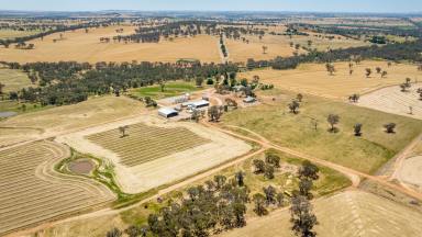 Farm For Sale - NSW - Burrumbuttock - 2642 - Burrumbuttock - Position, Production & Reliability  (Image 2)