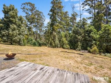 Farm Sold - TAS - Acacia Hills - 7306 - Riverside Block with Living Pods and Container  (Image 2)