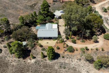 Farm Sold - SA - Paringa - 5340 - A home with a view!  (Image 2)