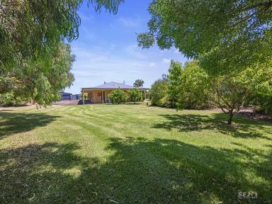 Farm For Sale - VIC - Nerrena - 3953 - Quality home, rural views and motivated vendor!  (Image 2)