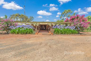 Farm For Sale - VIC - Nanneella - 3561 - Welcome to Illawong: Your Idyllic Oasis on 27 Acres!  (Image 2)