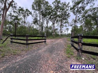 Farm For Sale - QLD - Coverty - 4613 - 100 acres with 2 dams and a seasonal creek  (Image 2)