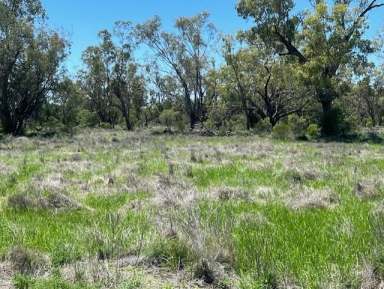 Farm For Sale - NSW - Lightning Ridge - 2834 - "Part Weetalibah"  (Image 2)