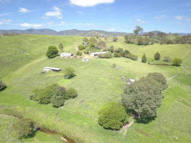 Farm For Sale - NSW - Candelo - 2550 - Candelo Homestead Opportunity - Motivated Vendor  (Image 2)