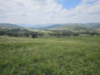 Farm For Sale - nsw - Cassilis - 2329 - Very Well Established Weekender  (Image 2)