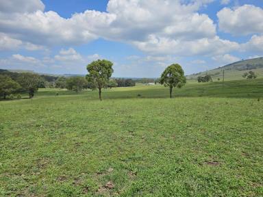 Farm For Sale - nsw - Cassilis - 2329 - 21 Acres On The Creek  (Image 2)