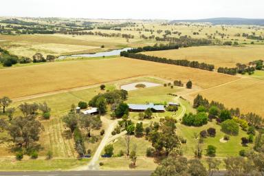 Farm For Sale - NSW - Young - 2594 - Scenic acres, Your own oasis  (Image 2)
