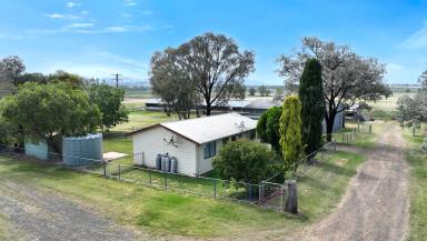 Farm Sold - NSW - Tamworth - 2340 - QUALITY LAND WITH MULTIPLE INCOME STREAMS - 2 HOMES  (Image 2)