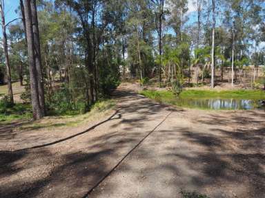 Farm For Sale - QLD - Veteran - 4570 - TIMBER DELIGHT  (Image 2)