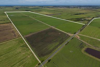 Farm For Sale - VIC - St Clair - 3995 - Top Class Dairy Farm only minutes from Wonthaggi, magnificent home and infastructure, heavy carrying country, town water connected  (Image 2)