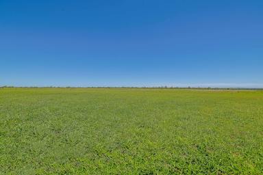 Farm Sold - QLD - Emerald  - 4720 - "Tobermorey" Emerald QLD  (Image 2)