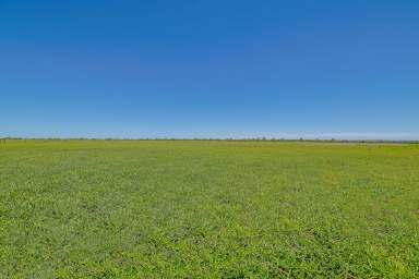 Farm Sold - QLD - Emerald  - 4720 - "Tobermorey" Emerald QLD  (Image 2)