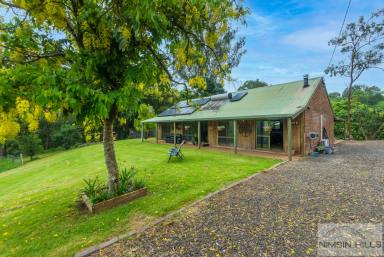 Farm For Sale - NSW - The Channon - 2480 - Convenient, Contemporary and a ‘Cracker’ of a Creek  (Image 2)